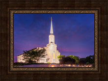 Load image into Gallery viewer, Spirit in St. Louis
