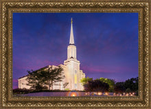 Load image into Gallery viewer, Spirit in St. Louis
