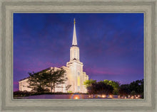 Load image into Gallery viewer, Spirit in St. Louis
