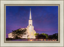 Load image into Gallery viewer, Spirit in St. Louis
