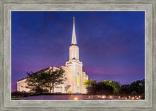 Load image into Gallery viewer, Spirit in St. Louis
