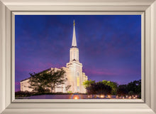 Load image into Gallery viewer, Spirit in St. Louis
