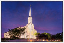 Load image into Gallery viewer, Spirit in St. Louis
