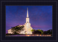 Load image into Gallery viewer, Spirit in St. Louis
