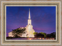 Load image into Gallery viewer, Spirit in St. Louis
