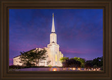 Load image into Gallery viewer, Spirit in St. Louis
