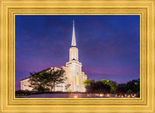 Load image into Gallery viewer, Spirit in St. Louis
