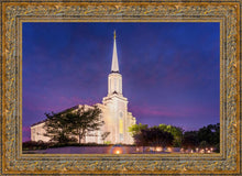 Load image into Gallery viewer, Spirit in St. Louis

