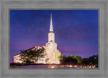 Load image into Gallery viewer, Spirit in St. Louis
