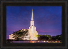 Load image into Gallery viewer, Spirit in St. Louis
