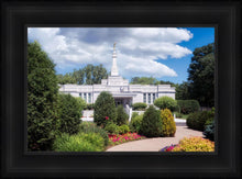 Load image into Gallery viewer, St. Paul Day
