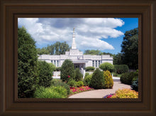 Load image into Gallery viewer, St. Paul Day
