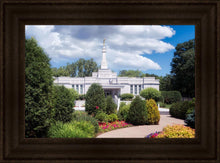 Load image into Gallery viewer, St. Paul Day
