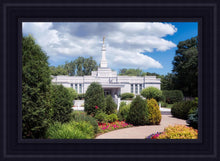 Load image into Gallery viewer, St. Paul Day
