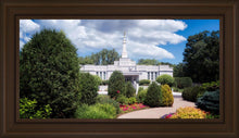 Load image into Gallery viewer, St. Paul Day
