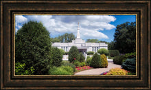Load image into Gallery viewer, St. Paul Day
