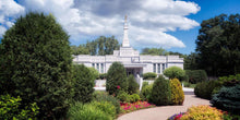 Load image into Gallery viewer, St. Paul Day
