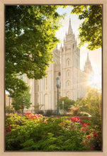 Load image into Gallery viewer, Salt Lake - The Lord is My Light (Vertical)
