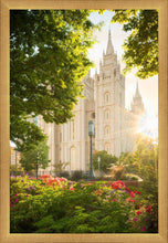 Load image into Gallery viewer, Salt Lake - The Lord is My Light (Vertical)
