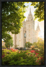 Load image into Gallery viewer, Salt Lake - The Lord is My Light (Vertical)
