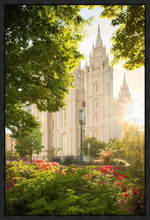 Load image into Gallery viewer, Salt Lake - The Lord is My Light (Vertical)
