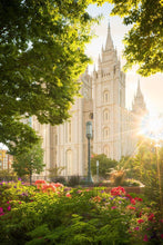 Load image into Gallery viewer, Salt Lake - The Lord is My Light (Vertical)
