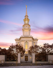 Load image into Gallery viewer, Philadelphia Liberty Skies

