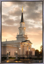 Load image into Gallery viewer, Hartford Radiance
