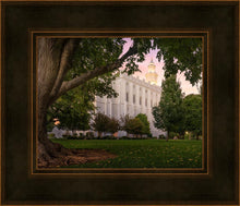 Load image into Gallery viewer, St. George Tree of Life
