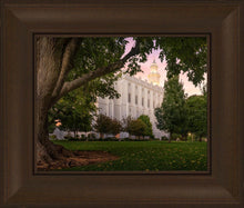 Load image into Gallery viewer, St. George Tree of Life
