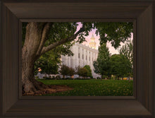 Load image into Gallery viewer, St. George Tree of Life
