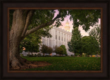 Load image into Gallery viewer, St. George Tree of Life
