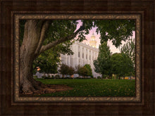 Load image into Gallery viewer, St. George Tree of Life
