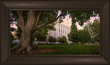 Load image into Gallery viewer, St. George Tree of Life
