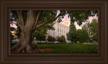 Load image into Gallery viewer, St. George Tree of Life
