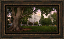 Load image into Gallery viewer, St. George Tree of Life
