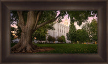 Load image into Gallery viewer, St. George Tree of Life
