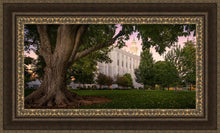 Load image into Gallery viewer, St. George Tree of Life
