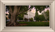 Load image into Gallery viewer, St. George Tree of Life
