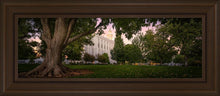Load image into Gallery viewer, St. George Tree of Life
