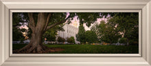 Load image into Gallery viewer, St. George Tree of Life

