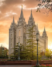 Load image into Gallery viewer, Salt Lake - The Promise
