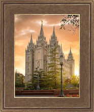 Load image into Gallery viewer, Salt Lake - The Promise
