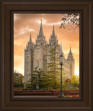 Load image into Gallery viewer, Salt Lake - The Promise
