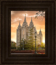 Load image into Gallery viewer, Salt Lake - The Promise
