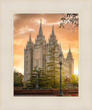Load image into Gallery viewer, Salt Lake - The Promise
