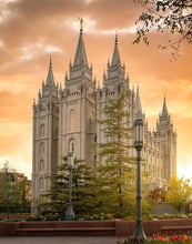 Load image into Gallery viewer, Salt Lake - The Promise

