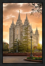 Load image into Gallery viewer, Salt Lake - The Promise
