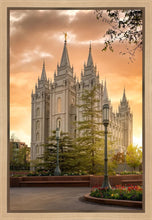 Load image into Gallery viewer, Salt Lake - The Promise
