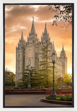 Load image into Gallery viewer, Salt Lake - The Promise
